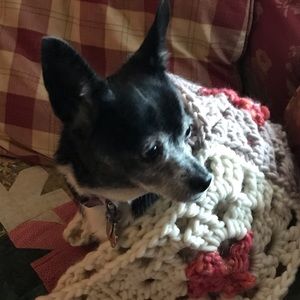 Meet your Posher, Kerkeri